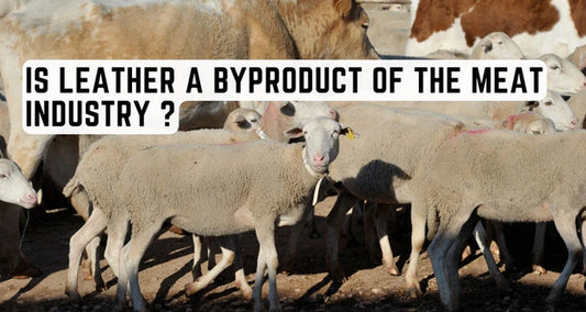 Leather production and its connection to the meat industry, ethical concerns, and sustainable alternatives explained in detail.