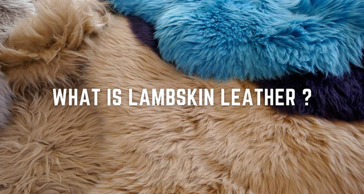Lambskin leather guide: Learn about its benefits, types, and care tips for jackets, vests, and fashion accessories.